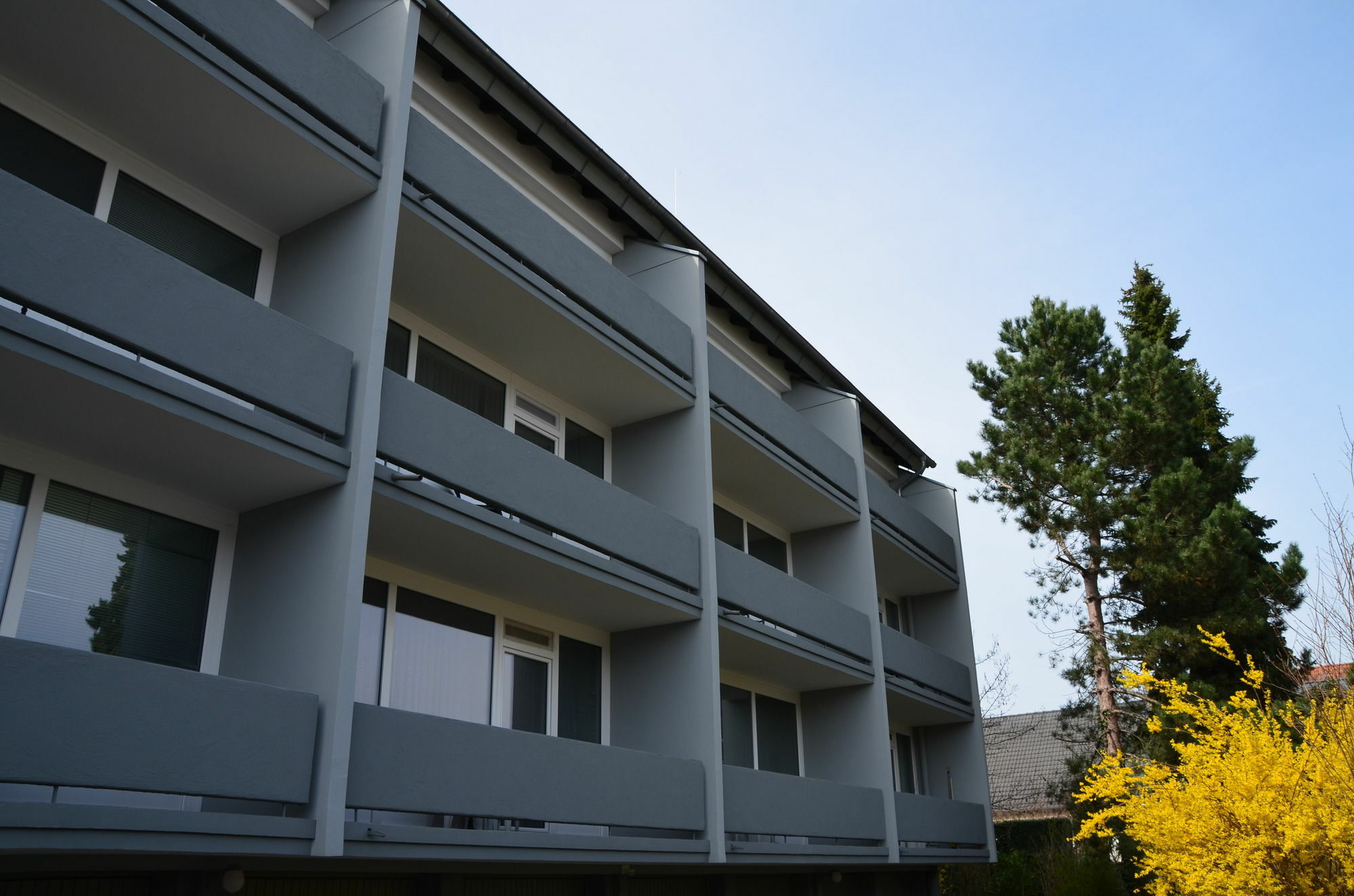 Neu Heidelberg - Guesthouse&Apartments Exterior foto